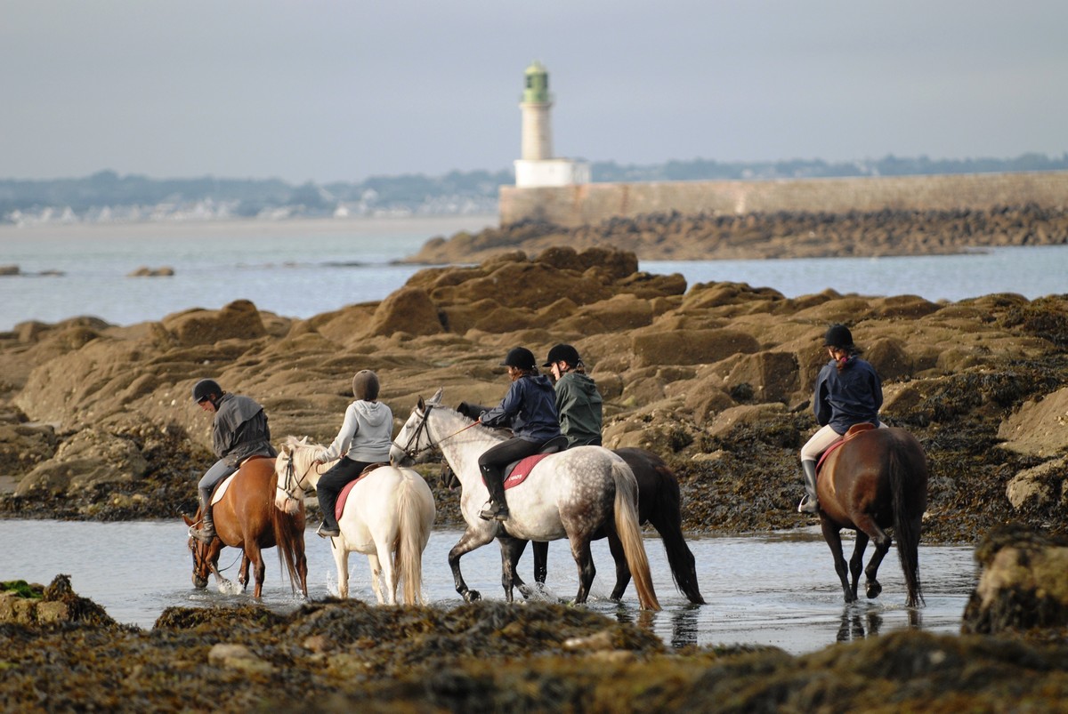 balade à cheval à la plage