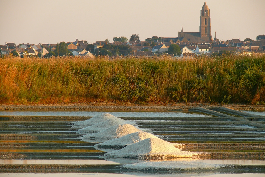 Les marais salants et Batz sur Mer à l'horizon