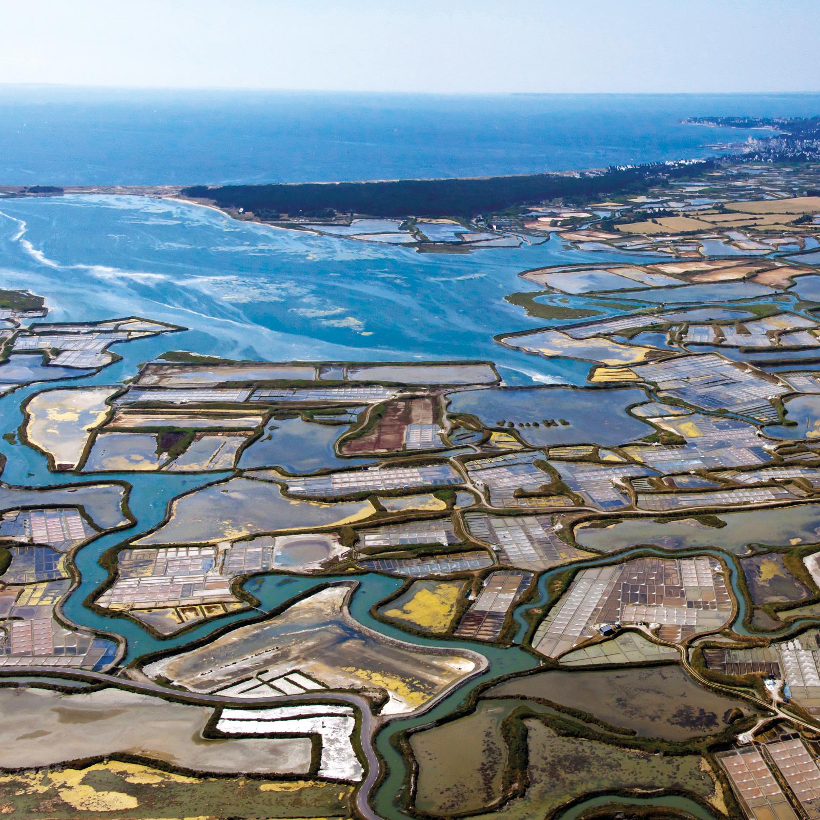 Marais salants