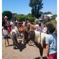 Sortie poney avec le club enfant