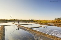 marais_salants_guerande