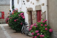 piriac_sur_mer
